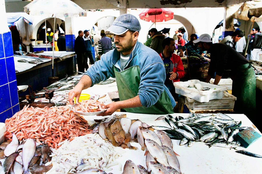 تراجع السمك المكرونة بسوق العبور اليوم الخميس